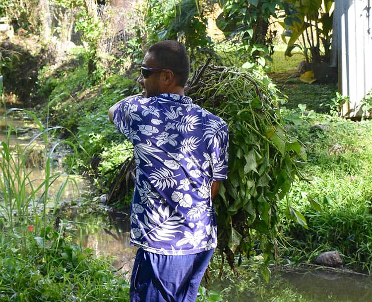 Pacific Resort staff helping remove the kang-kong water spinach from Aremango stream. SUPPLIED/21090328